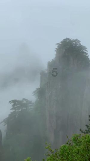 农畜山羊逃脱